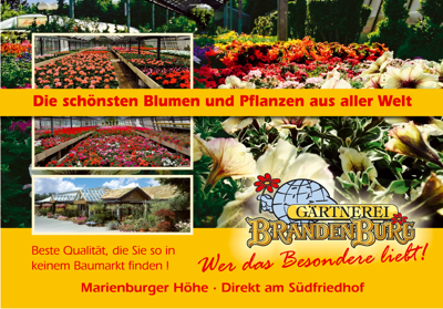 Schönste-Blumen-2025